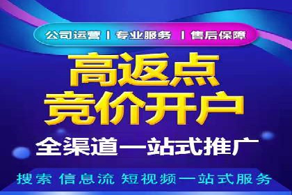 百度优化推广案例：打造高转化率网站